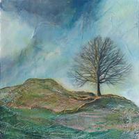 Rooted in Stone 